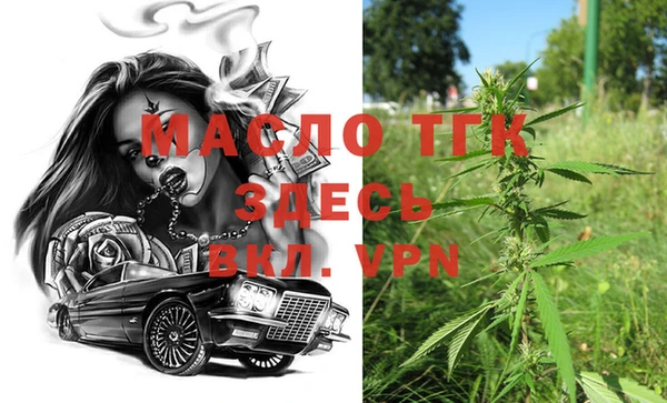 шишки Инта