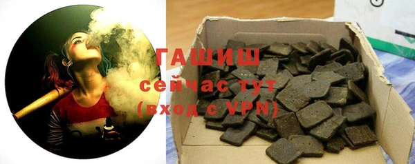 шишки Инта