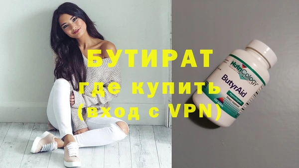 шишки Инта