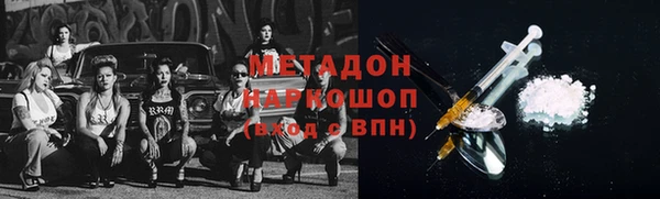 шишки Инта