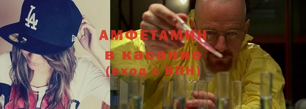 шишки Инта