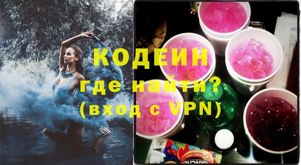 шишки Инта