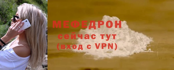 шишки Инта