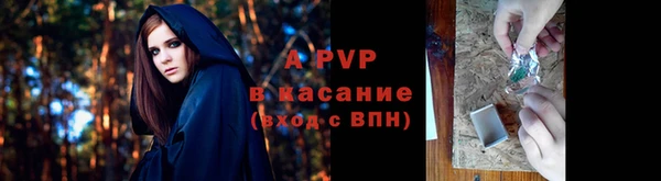 дмт Иннополис