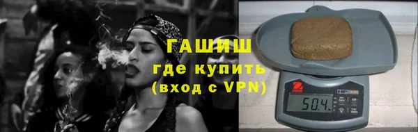 шишки Инта