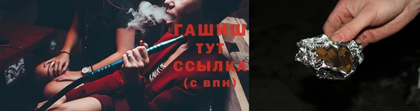 шишки Инта