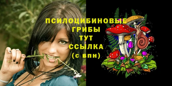 mdma Инсар