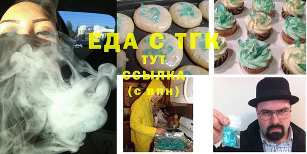 шишки Инта