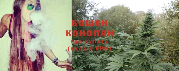 шишки Инта