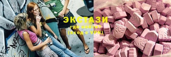 шишки Инта