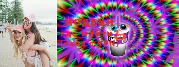 шишки Инта
