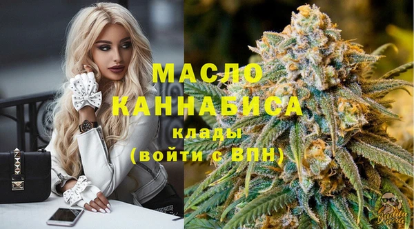 шишки Инта