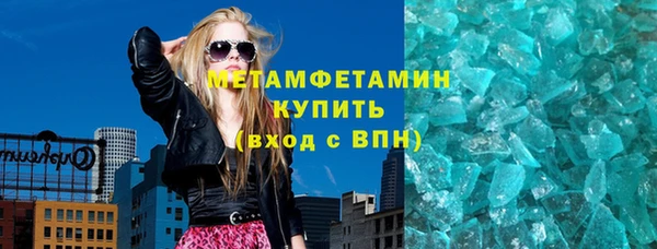 шишки Инта