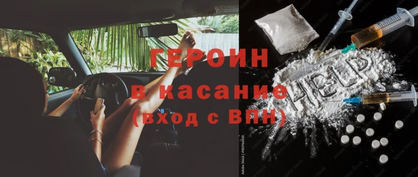 шишки Инта